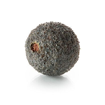 Sponge rubber ball coated with corundum for all types of cooling water and special hydraulic conditions