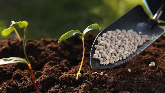 Crystallizing ASS into solid fertilizer