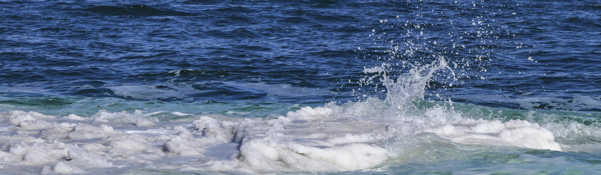 Desalination <br> and concentration