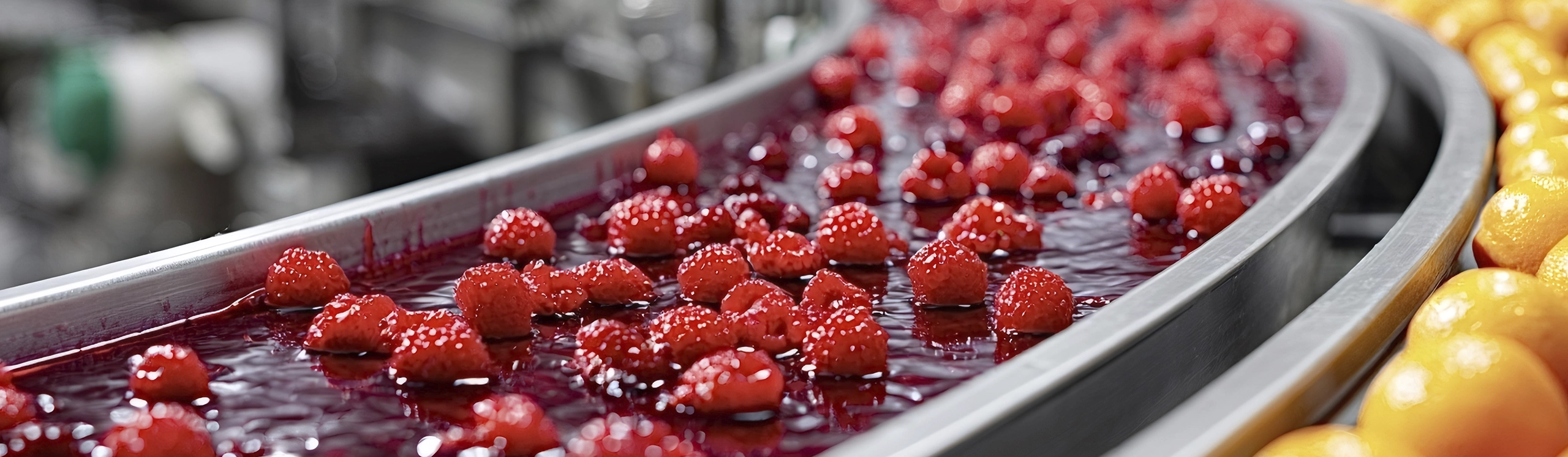 Food and <br> beverage industry